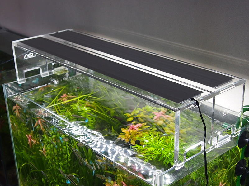 新品 ADA アクアスカイ 602 AQUASKY LED照明 | green.edu.bd